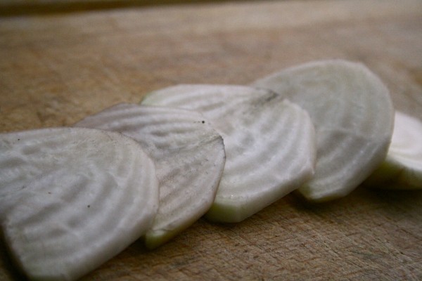 white beetroot