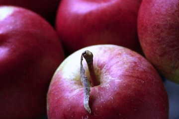 'ellison's orange' apples