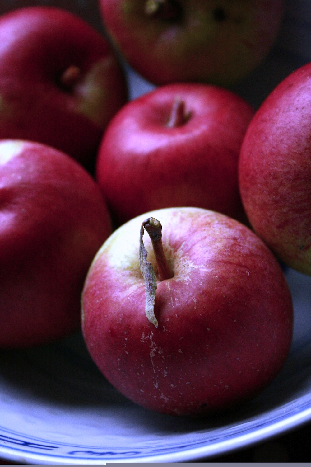 'ellison's orange' apples