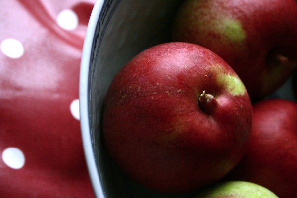 'ellison's orange' apples