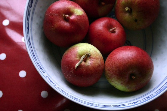 'ellison's orange' apples