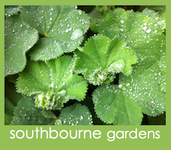 Southbourne Gardens