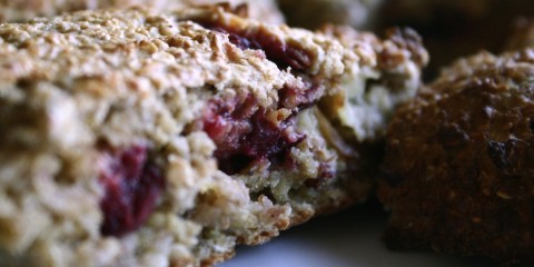 sugar-free homemade energy bar