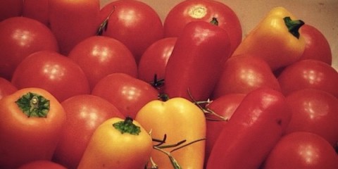roasting tomatoes and red peppers