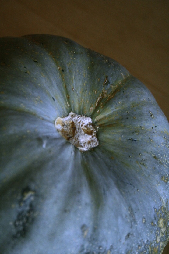 crown prince pumpkin