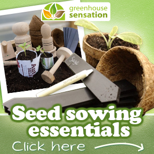 seed sowing