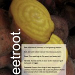 ggg-beetroot