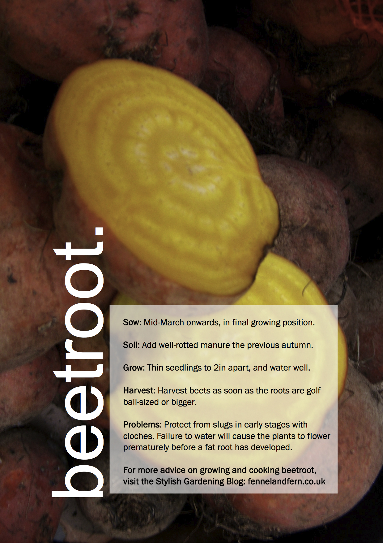 ggg-beetroot