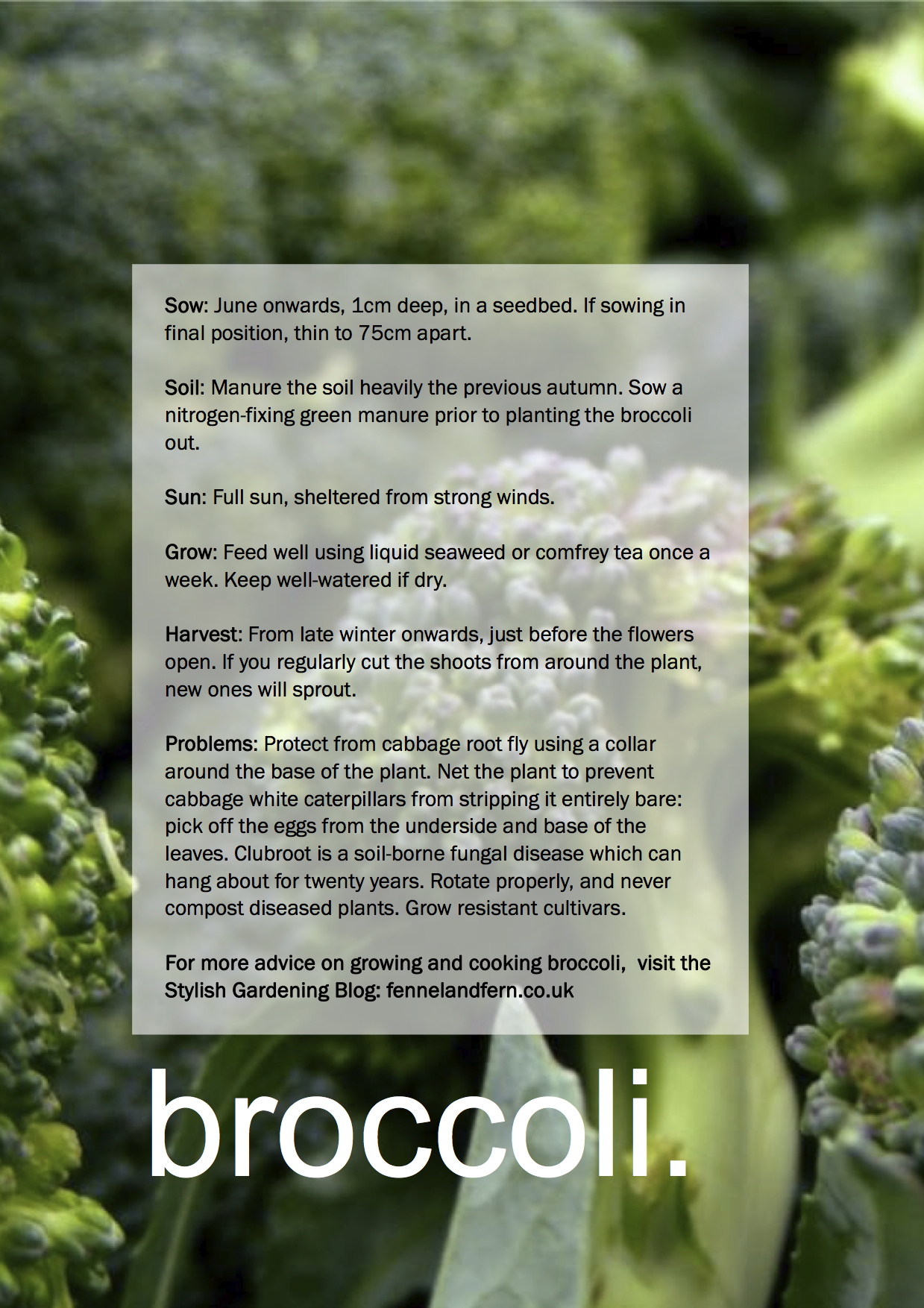 ggg-broccoli