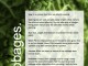 ggg-cabbages