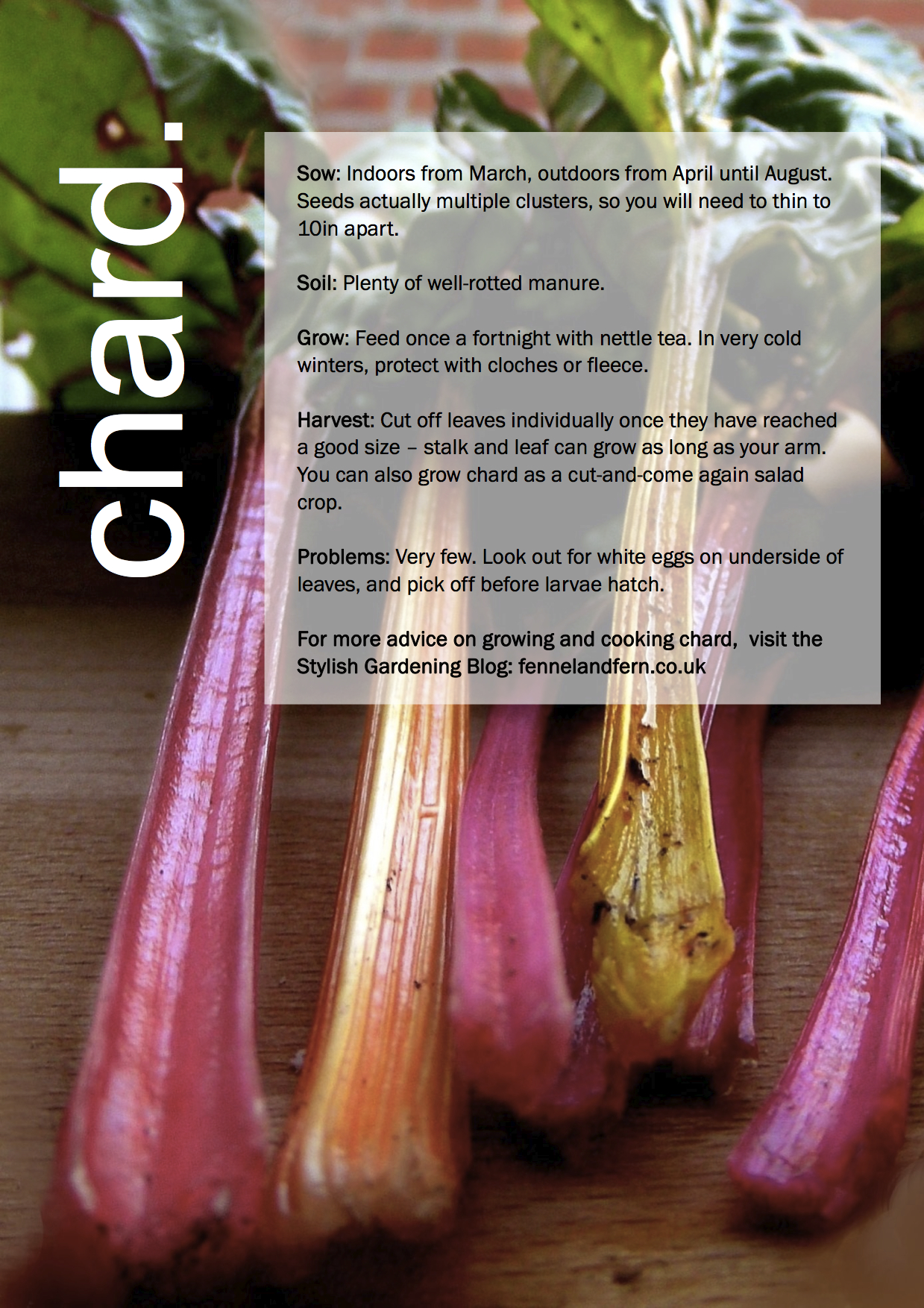 ggg-chard