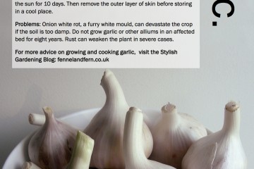 ggg-garlic