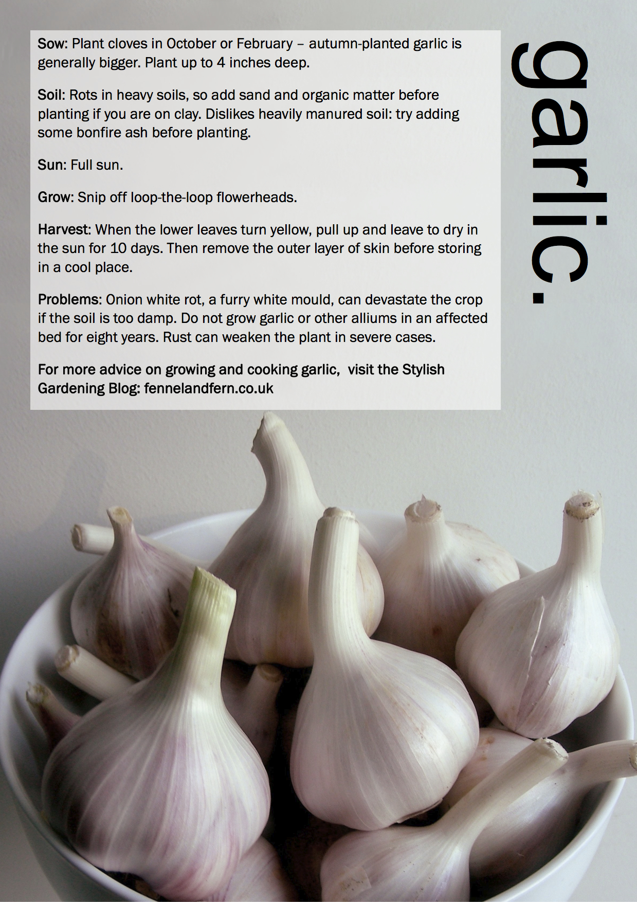 ggg-garlic
