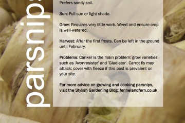 ggg-parsnips