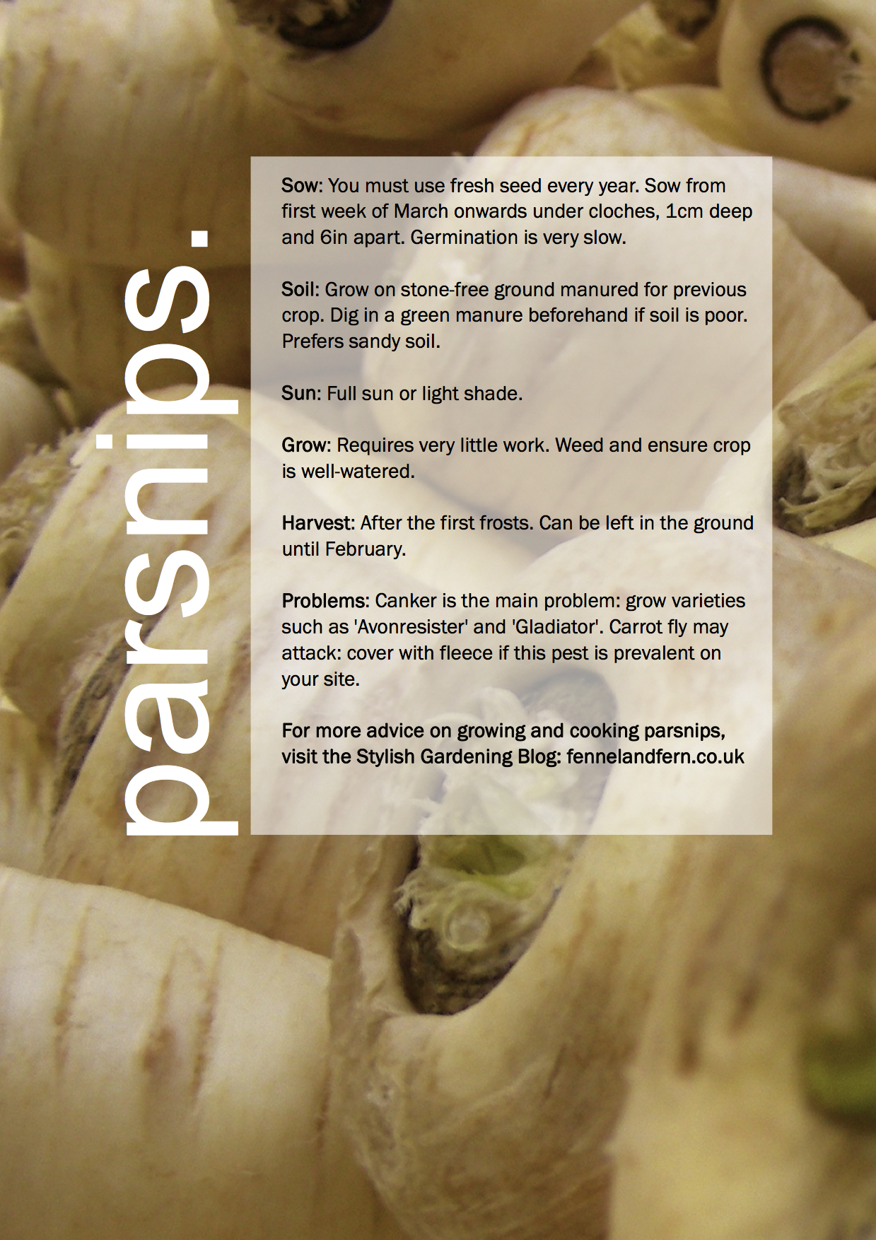 ggg-parsnips