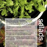 ggg-salads