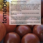 ggg-tomatoes