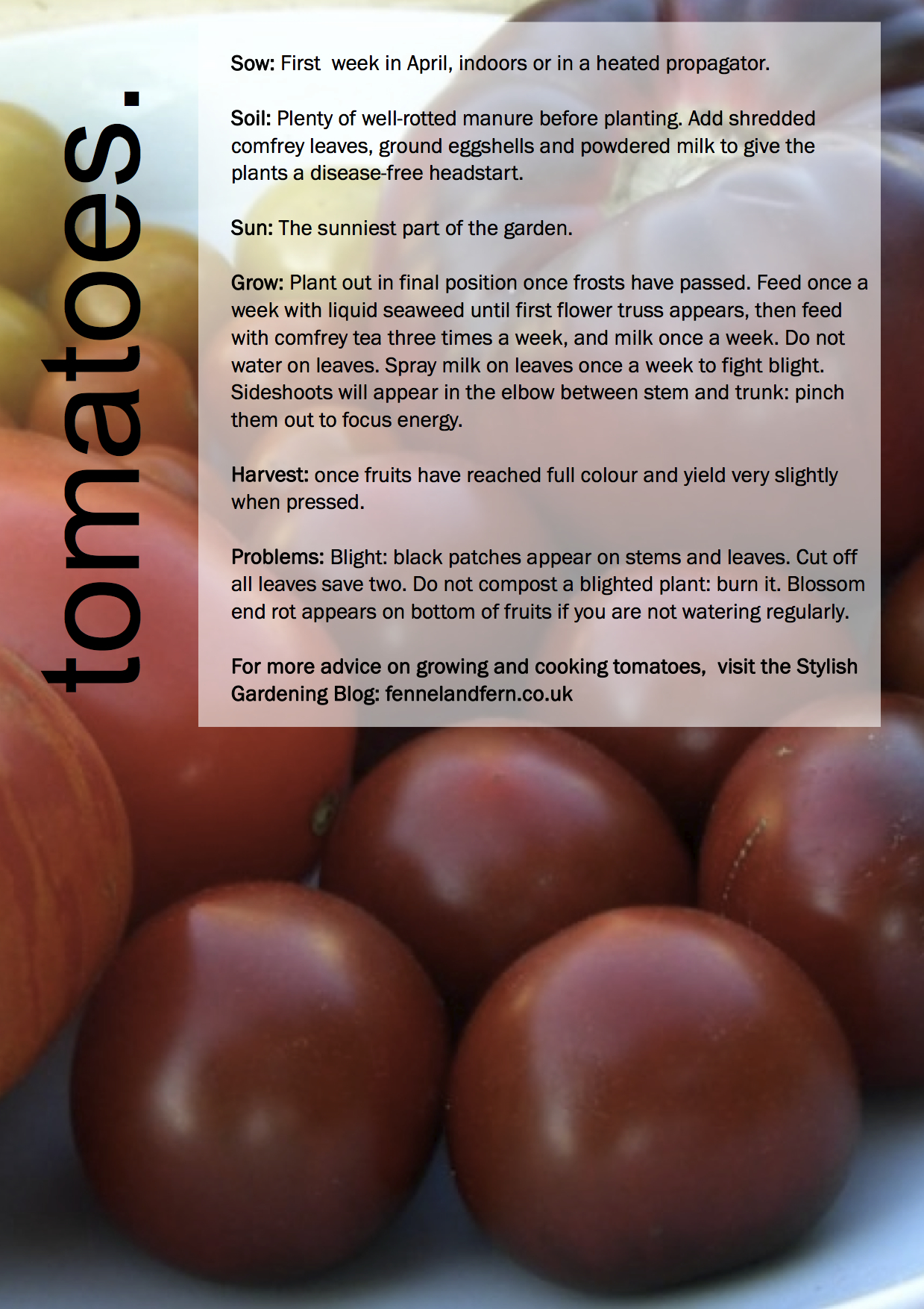 ggg-tomatoes