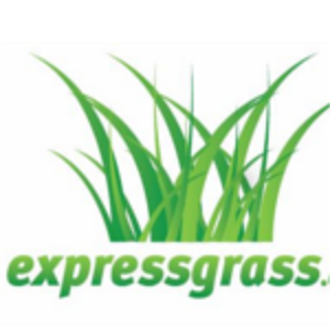 Express Grass 300x300