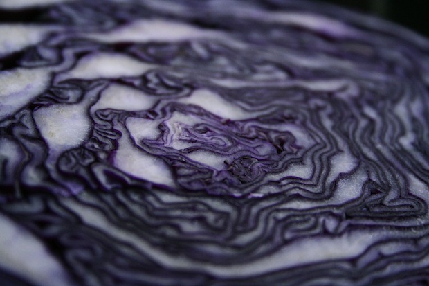 red cabbage