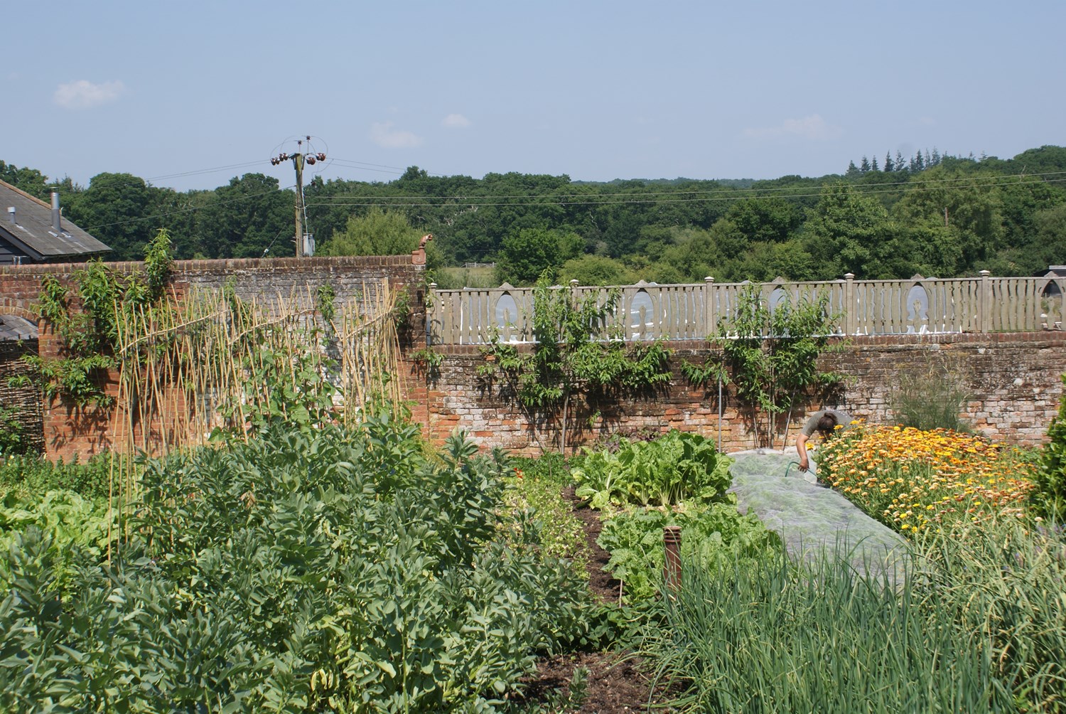 Kitchen_Garden (4)
