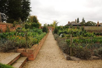 Kitchen_Garden (5)