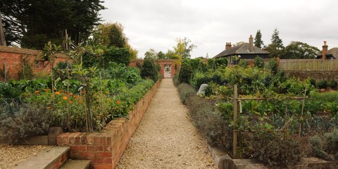 Kitchen_Garden (5)