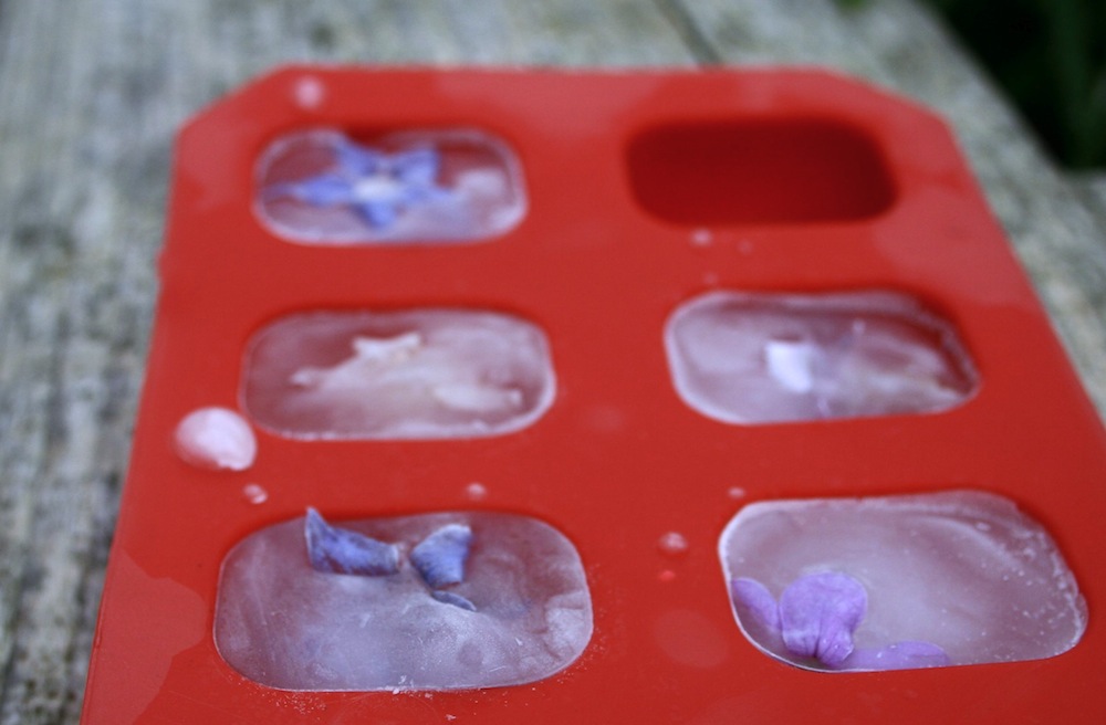 floral ice cubes