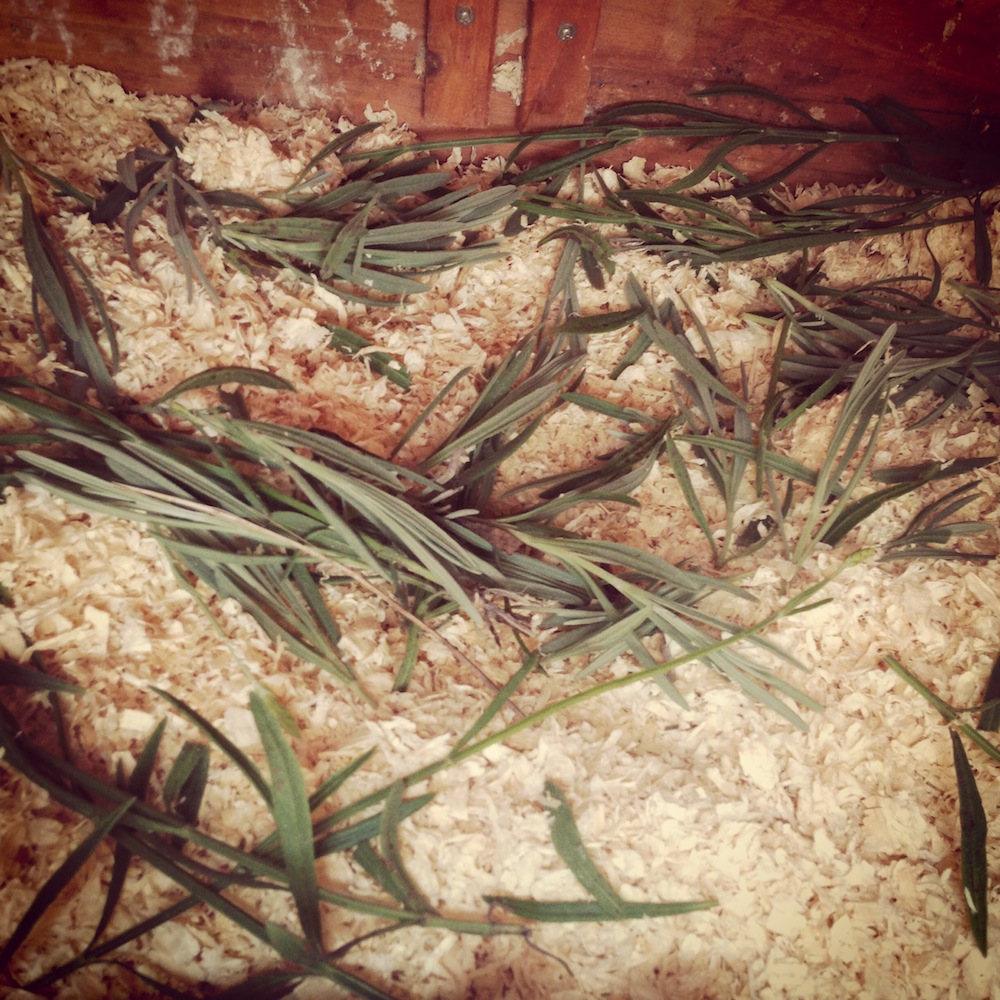 photo (1)