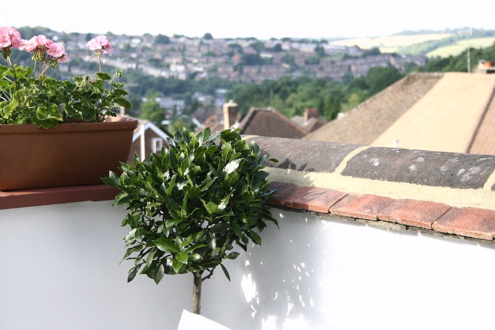 roof terrace