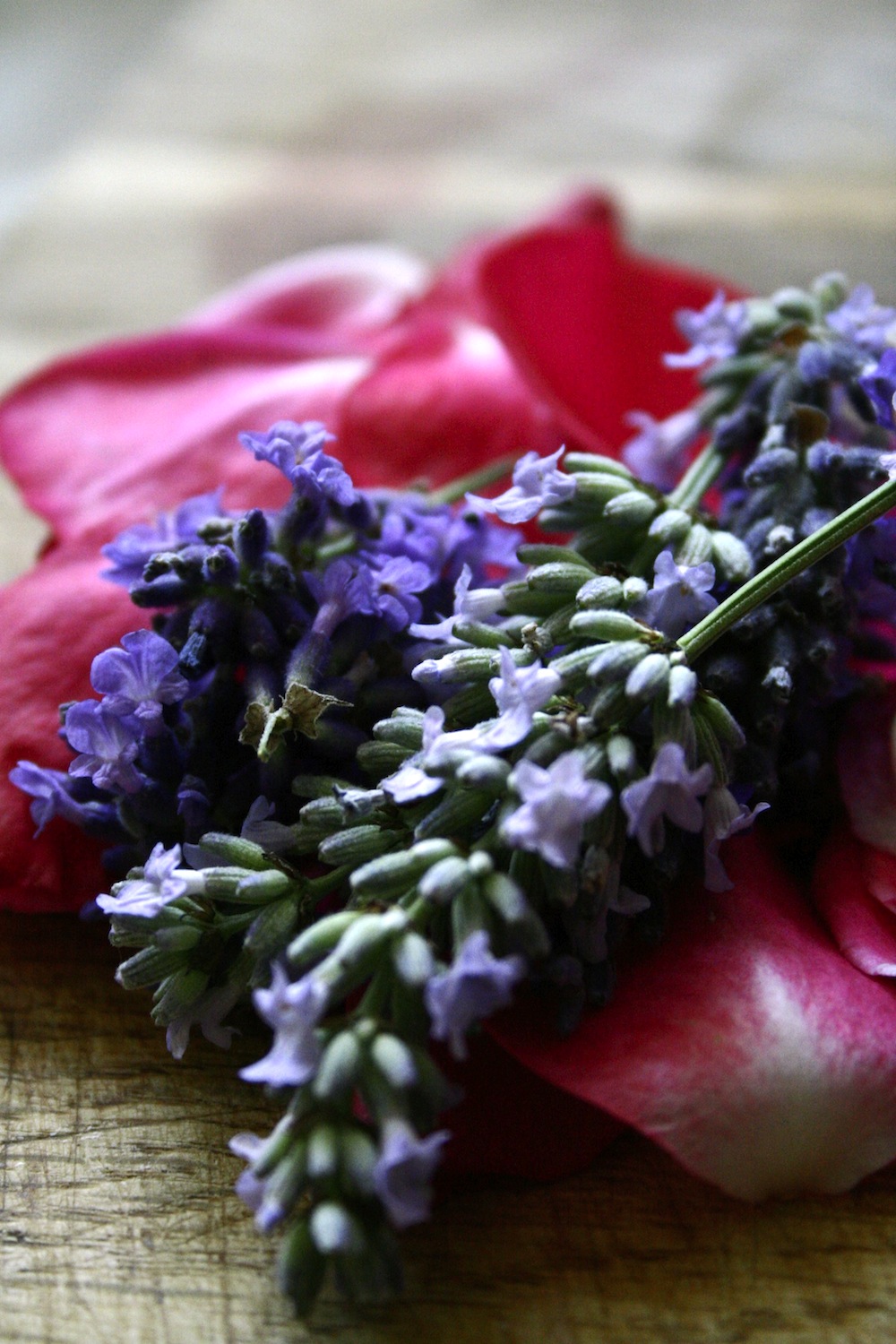 lavender and rose cake