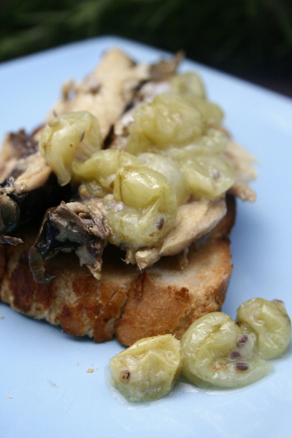 gooseberries and mackerel