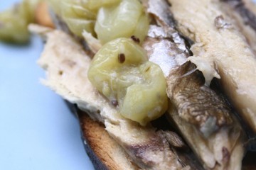 gooseberries and mackerel