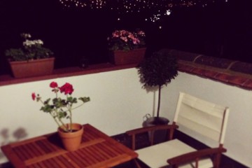 roof terrace garden