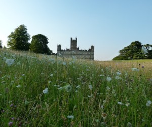 Highclere Castle, Downton Abbey