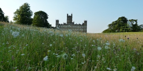 Highclere Castle, Downton Abbey