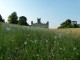 Highclere Castle, Downton Abbey