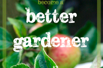 Better Gardener Soil Series
