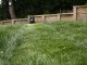 lawnmower