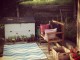 outdoor rug