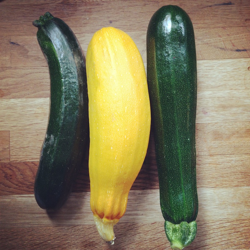 courgette harvest