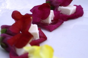 snapdragon edible
