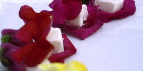 snapdragon edible