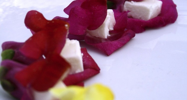 snapdragon edible