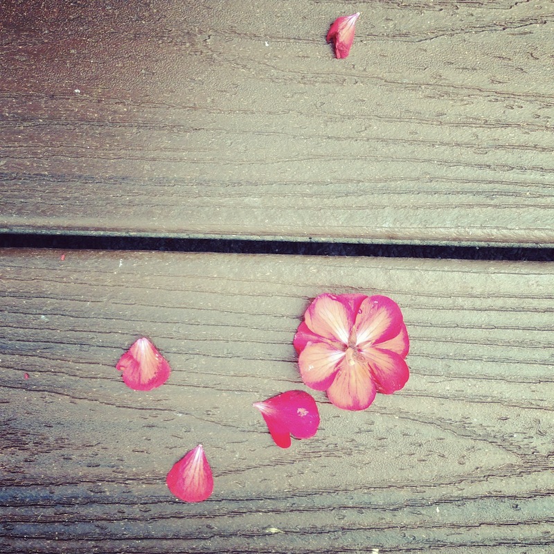 garden decking