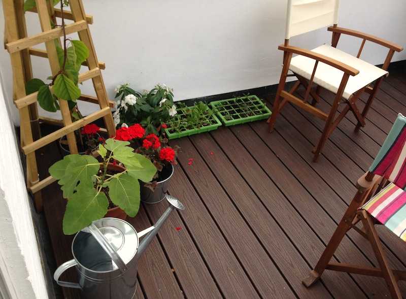 roof garden