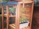 Gabriel Ash cold frame
