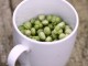 pickling-nasturtium-seeds