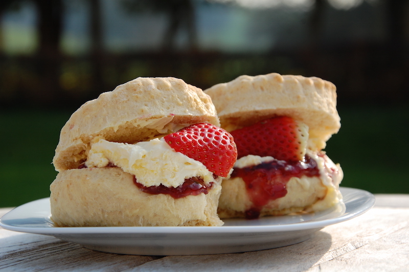 Cream Tea March 2014 055