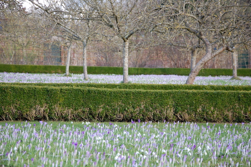 West dean gardens